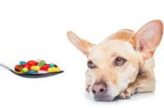 Нестероїдні протизапальні препарати для тварин