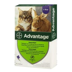 Адвантейдж ADVANTAGE капли на холке от блох для кошек и декоративных кроликов весом более 4 кг, 1 шт