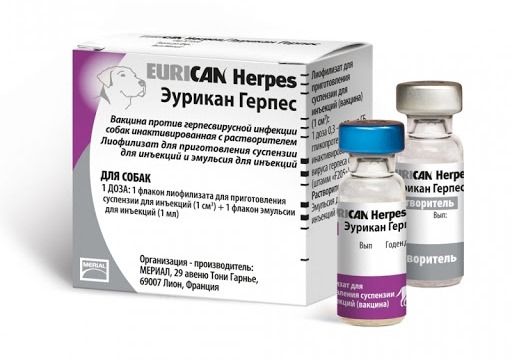 Эурикан Herpes вакцина против герпеса у собак, 1 доза