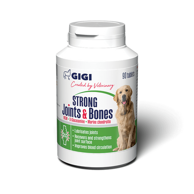 АктиВет Strong Joints & Bones GIGI 1табл/10кг хондропротектор противовоспалительный для собак, 90 таблеток