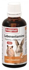 ЛебенсВитамине LebensVitamine Beaphar жидкие витамины для грызунов, 50 мл