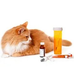 Противоопухолевые ветеринарные препараты