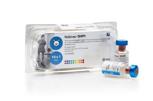 Нобівак DHPPI вакцина для собак проти чуми, гепатиту, парагрипу, ентериту, 1 доза