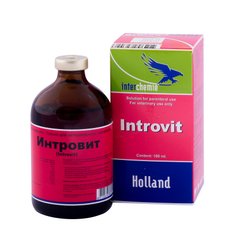 Интровит Introvit для нормализации обмена веществ, 100 мл